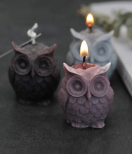 Load image into Gallery viewer, Wise owl candle
